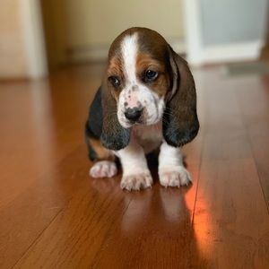 Meet your Posher, Coreen